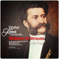 Walter Fried Conducts... Waltzes of Strauss