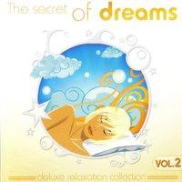 The Secret Of Dreams Vol. 2