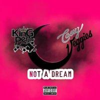 Not a Dream (feat. Casey Veggies)