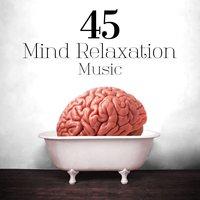 45 Mind Relaxation Music