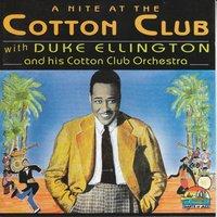 A Nite At The Cotton Club