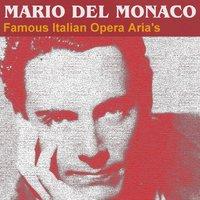 Famous Italian Opera Aria's