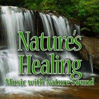 Nature's Healing (Music with Nature Sound)