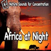 Nature Sounds for Concentration – Africa at Night