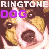 Dog Ringtone