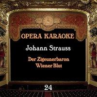 Opera Karaoke, Vol. 24 [Johann Strauss]