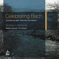 Celebrating Bach