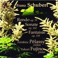 Schubert: Pièces pour violon et piano