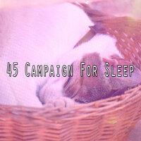 45 Campaign for Sle - EP
