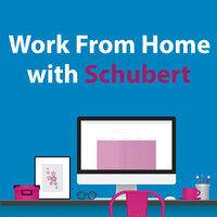 Work From Home With Schubert
