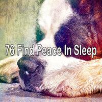 76 Find Peace in Sle - EP