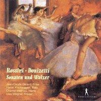 The Flute Sonatas and Waltzes for Two Flutes