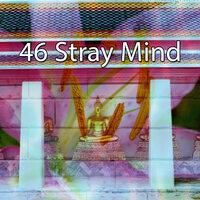 46 Stray Mind