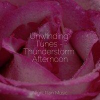 Unwinding Tunes - Thunderstorm Afternoon