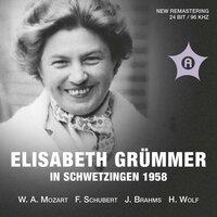 Schubert, Brahms & Others: Art Songs