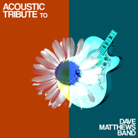 Acoustic Tribute to Dave Matthews Band