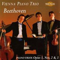 Piano Trio in C minor, Op. 1, No. 3: I. Allegro con brio