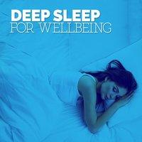 Deep Sleep for Wellbeing