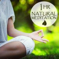 1 Hour Natural Meditation: Peaceful Relaxing Music for Meditation & Yoga