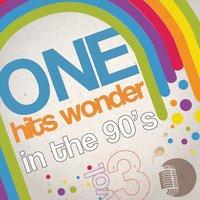 One Hits Wonder in the 90's, Vol. 3