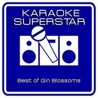 Best of Gin Blossoms
