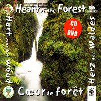 Heart Of The Forest (Cœur De Forêt)