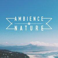 Ambience of Nature