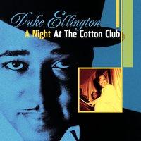 A Night At the Cotton Club