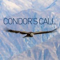 Condor's Call
