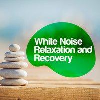 White Noise: Relaxation and Recovery