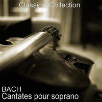 Bach : Cantates pour soprano