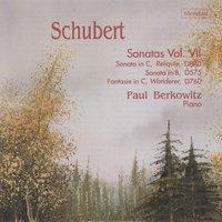 Schubert: Sonatas, Vol. VII