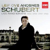 Schubert: Piano Sonatas 17 & 19-21