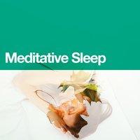 Meditative Sleep