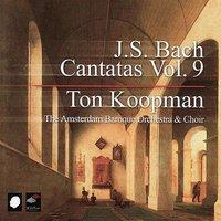 J. S. Bach: Cantatas Vol. 9