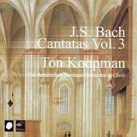J.S. Bach: Cantatas Vol. 3
