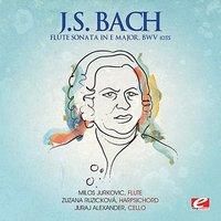 J.S. Bach: Flute Sonata in E Major, BWV 1035