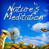 Nature's Meditation (Music with Nature Sounds)