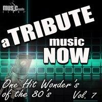 A Tribute Music Now: One Hit Wonder's of the 80's - Vol. 7