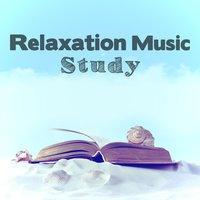 Relaxation Music: Study