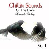 Chillin Sound of Birds, Vol. 1