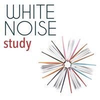 White Noise: Study