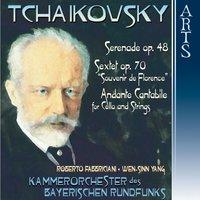 Tchaikovsky: Music for Strings & Flute Concerto
