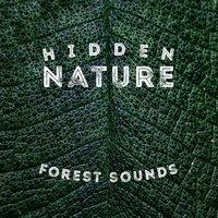 Hidden Nature: Forest Sounds