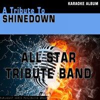 A Tribute to Shinedown