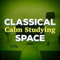 Classical Calm Studying Space