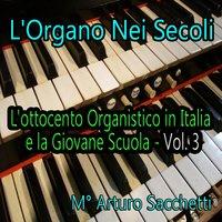 L'organo nei secoli: L'ottocento organistico in Italia e la giovane scuola, vol. 3