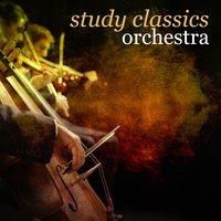 Study Classics Orchestra