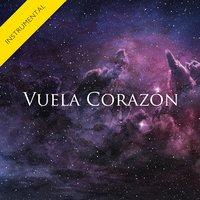 Vuela Corazón  - Single