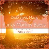 Deep Sleep Music - The Best of Funky Monkey Babys: Relaxing Music Box Covers